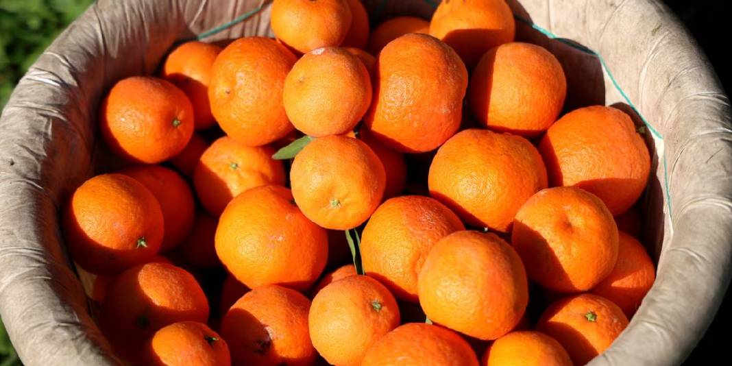 Mevsimin en ucuz meyvesi oldu! 15 TL’den 8 TL’ye geriledi… 3